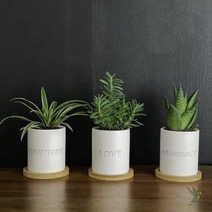 Gratitude Love Abundance Ceramic Cactus Planter Pot w/ Bamboo Tray